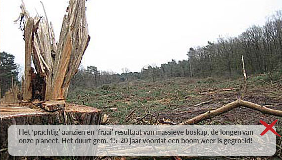 Het resultaat van massieve boskap